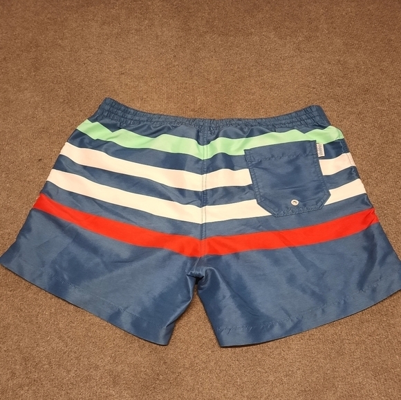 CHUBBIES (Men's Large) Striped Swim Trunks "Me Likey the Stripey" - Picture 4 of 10